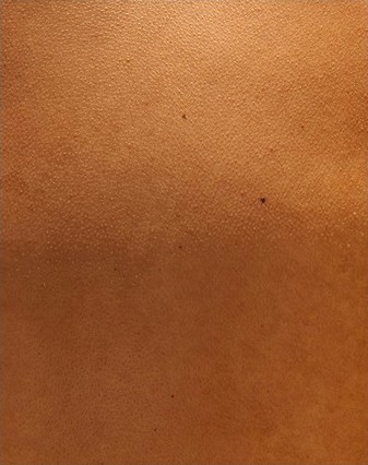 Close-up image representing skin health
